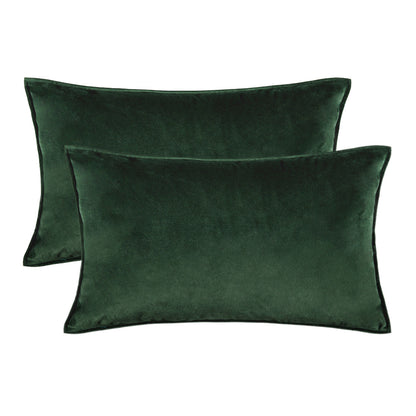 Set of 2 Cushions with Premium Waterproof Covers Included - 30x50cm