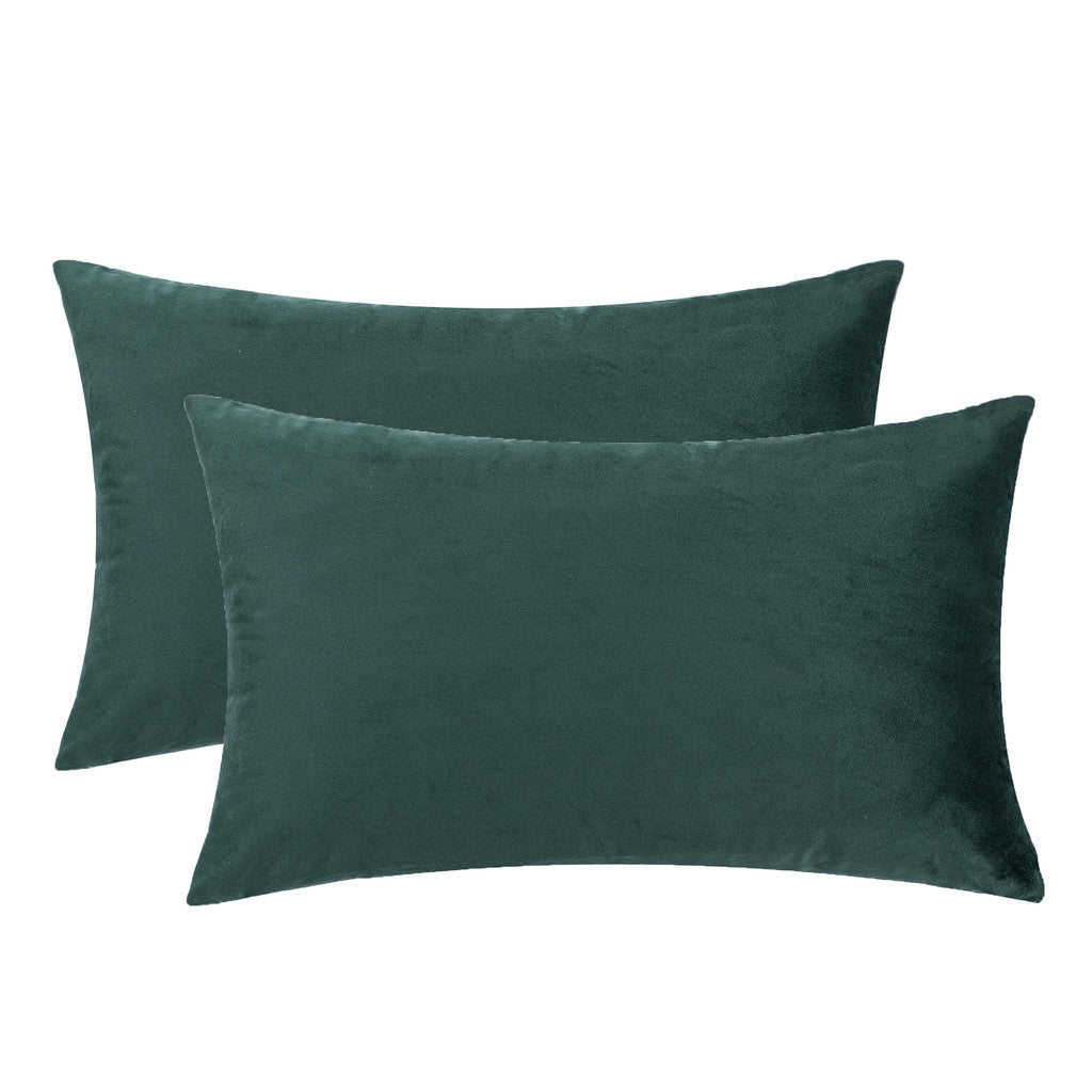 Set of 2 Cushions with Premium Piped Velvet Covers Included - 30x50cm