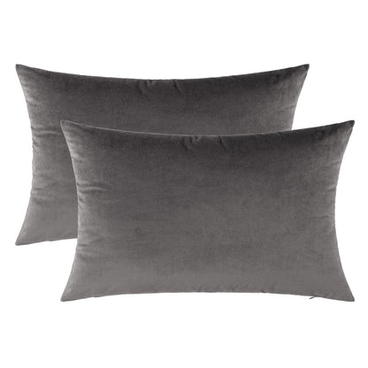 Set of 2 Cushions with Premium Piped Velvet Covers Included - 30x50cm