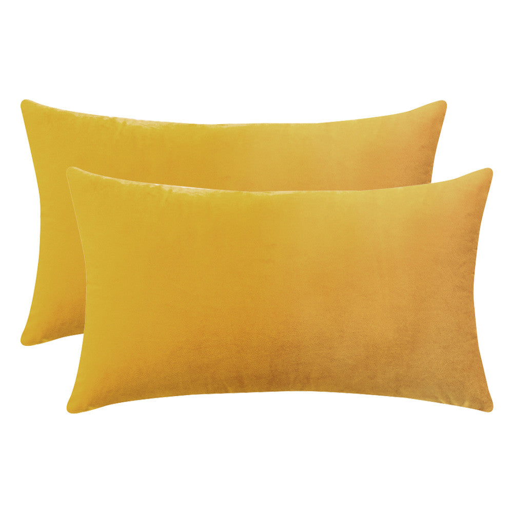 Set of 2 Cushions with Premium Piped Velvet Covers Included - 30x50cm