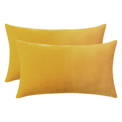 Set of 2 Cushions with Premium Piped Velvet Covers Included - 30x50cm