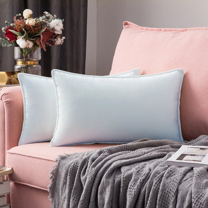 Set of 2 Cushions with Premium Waterproof Covers Included - 30x50cm