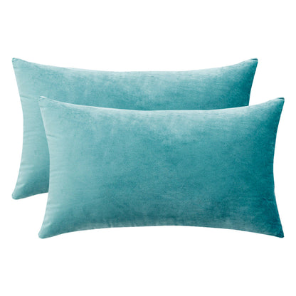 Set of 2 Cushions with Premium Piped Velvet Covers Included - 30x50cm