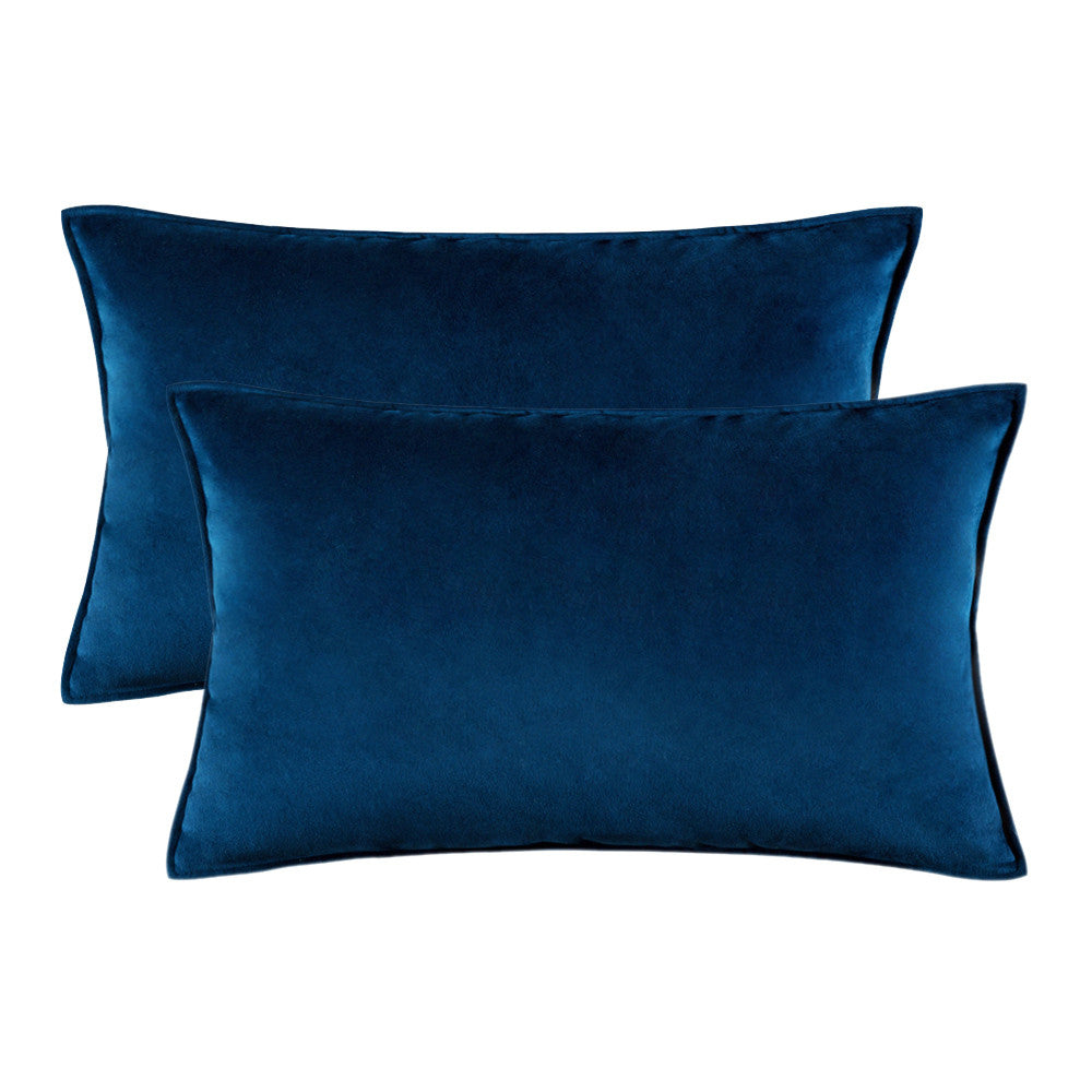 Set of 2 Cushions with Premium Waterproof Covers Included - 30x50cm