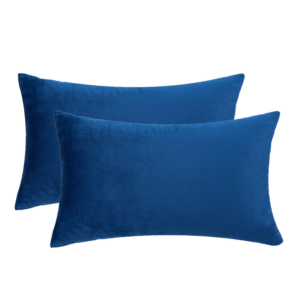 Set of 2 Cushions with Premium Piped Velvet Covers Included - 30x50cm
