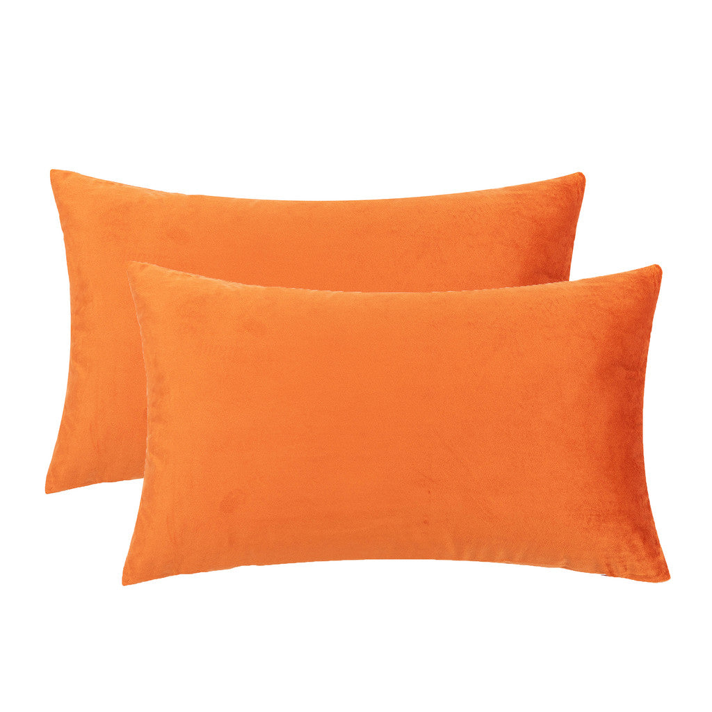 Set of 2 Cushions with Premium Piped Velvet Covers Included - 30x50cm