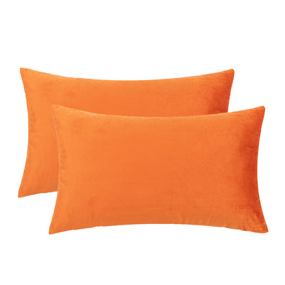 Set of 2 Cushions with Premium Piped Velvet Covers Included - 30x50cm