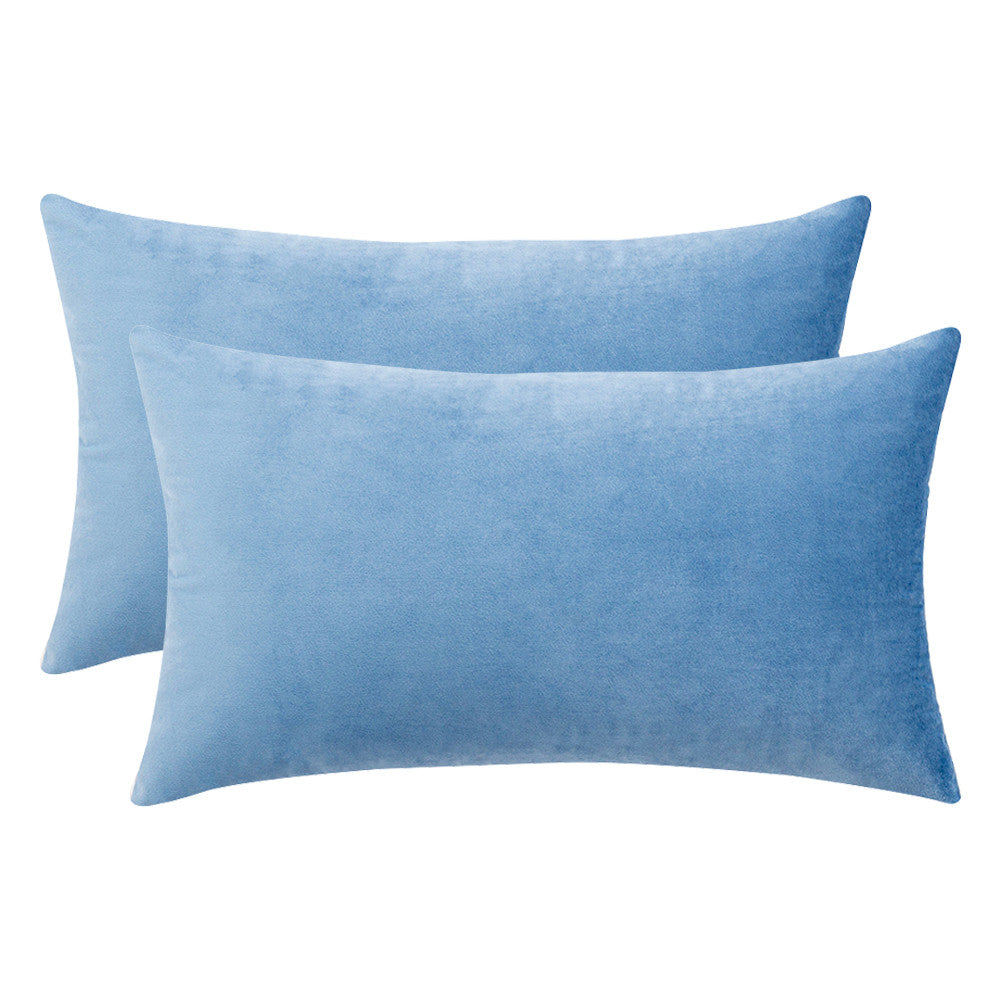 Set of 2 Cushions with Premium Piped Velvet Covers Included - 30x50cm