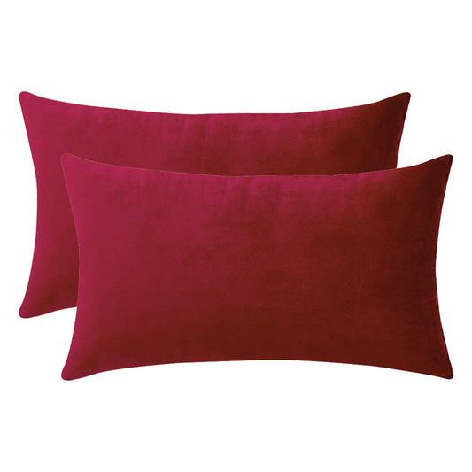 Set of 2 Cushions with Premium Piped Velvet Covers Included - 30x50cm