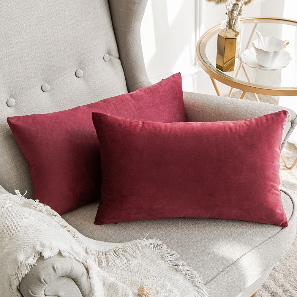 Set of 2 Cushions with Premium Piped Velvet Covers Included - 30x50cm