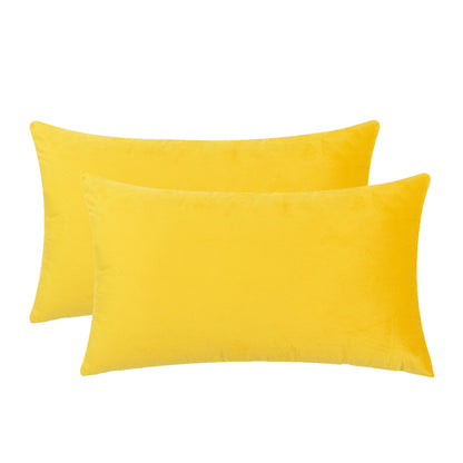 Set of 2 Cushions with Premium Piped Velvet Covers Included - 30x50cm