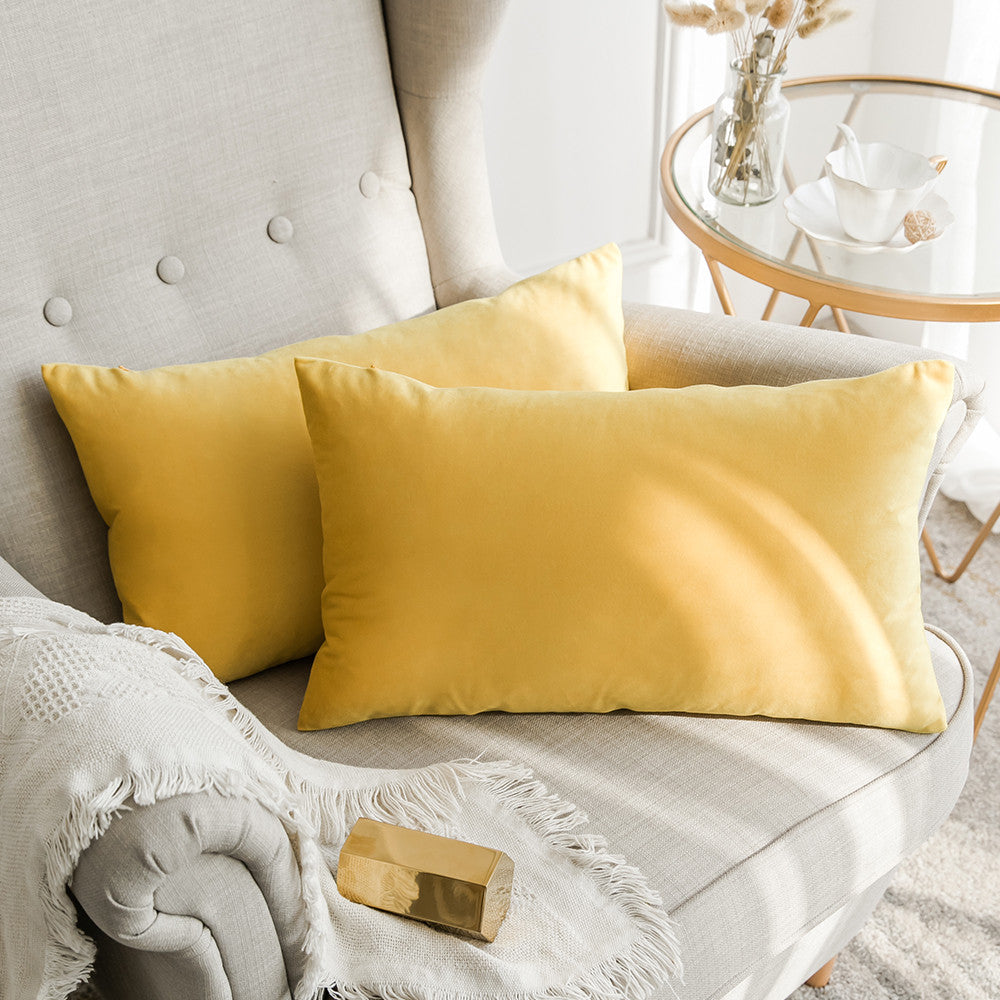 Set of 2 Cushions with Premium Piped Velvet Covers Included - 30x50cm